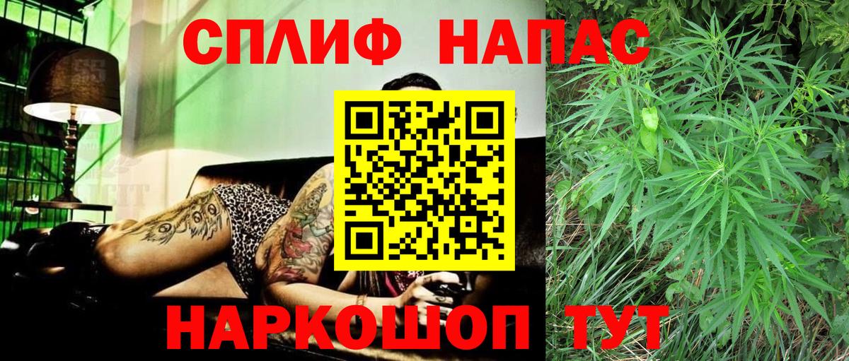 Шишки марихуана сатива Ачхой-Мартан